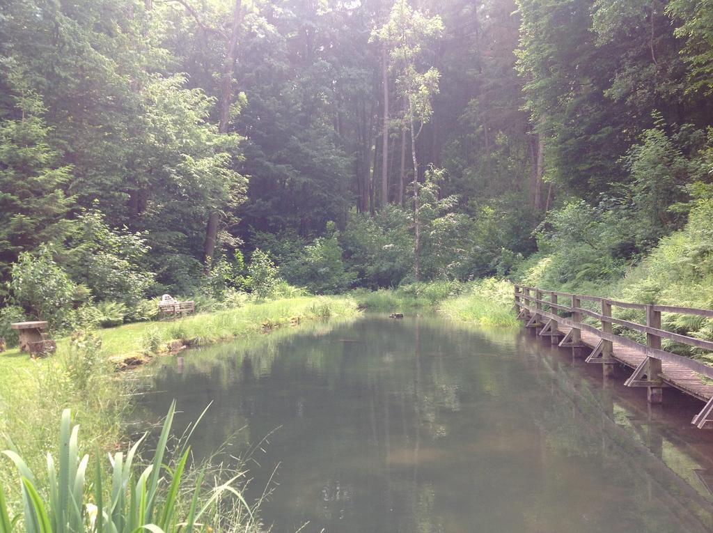 Le Vieux Moulin Bohan Bagian luar foto